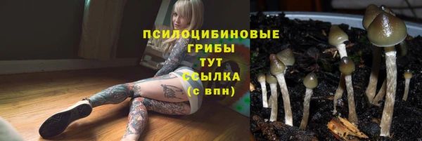 спиды Арсеньев
