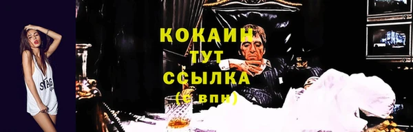 прущие крисы Аркадак