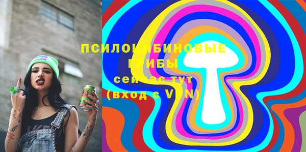 крисы Армянск
