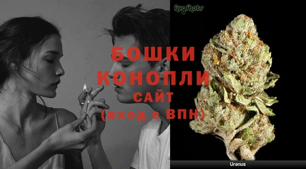 прущие крисы Аркадак